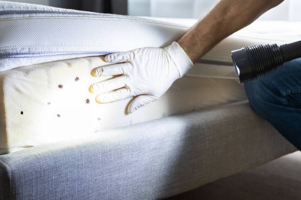 Best Affordable Pest Control Services  in Garden City, KS