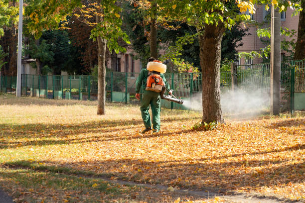 Reliable Garden City, KS Pest Control Solutions