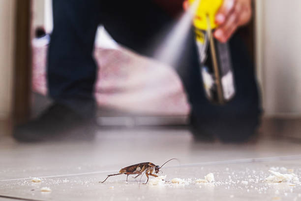 Best Residential Pest Control  in Garden City, KS